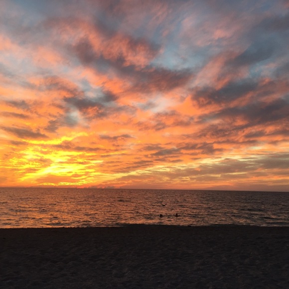 Meet your Posher, Julia - Picture 1 of 1